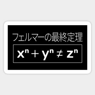 "Fermat's Last Theorem" in Japanese Magnet